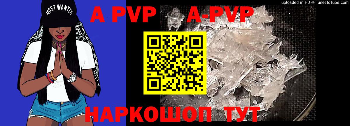 сколько стоит  Вход с VPN  Alpha PVP крисы CK  Муравленко  APVP СК  А ПВП 